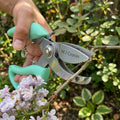 M J Cronin Stainless Steel Cut-and-Hold Bypass Secateurs (MJC-CHS20-3)