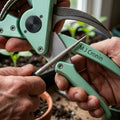 M J Cronin Stainless Steel Daisy Grubber Lever Weeder (MJC-DG19-2)