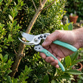 M J Cronin Compact Bypass Secateurs for Smaller Hands (MJC-SBP15-3)