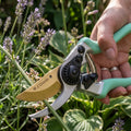 M J Cronin Titanium-Coated Bypass Secateurs, 25mm Cut (MJC-TBP25-2)