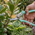 M J Cronin Titanium-Coated Bypass Secateurs, 25mm Cut (MJC-TBP25-3)